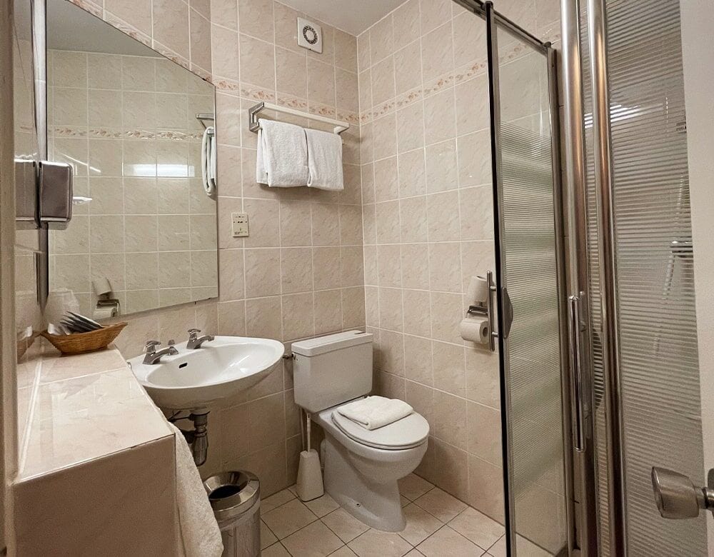 Triple Room: private bathroom with a shower, washbasin and toilet